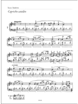  30 Partitions piano débutants - Morceaux célèbres de la musique  classique & folklorique simplifiées: Partitions de piano faciles pour  adultes et enfants, A4