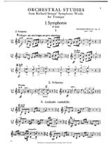 Orchestral Excerpts - Richard Strauss - Partition